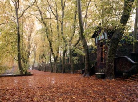 Ferienwohnung Ca La Xesca Olot Exterior foto